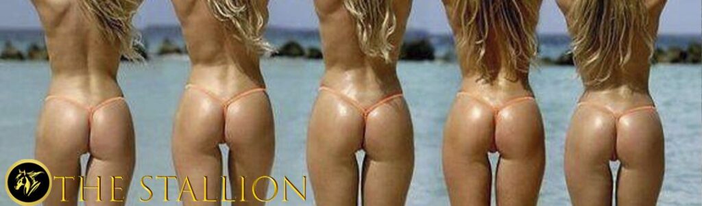 The-Stallion-1-1024x301 THE STALLION